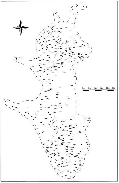 reprezentare morminte pe planul necropolei neolitice de la cernica
